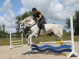 img_3640_web